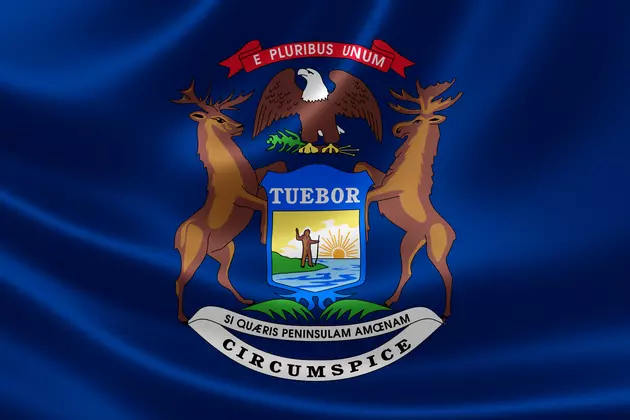 Bill Introduced to Redesign Michigan&#8217;s Flag [Poll]