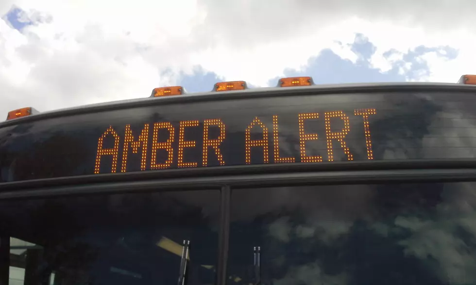 Changes Coming to Michigan’s AMBER Alert System on January 1