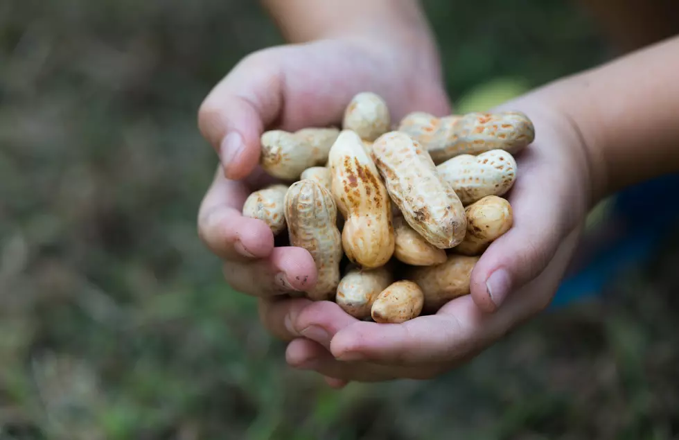 New Research: Don’t Wait To Feed Your Kids Peanuts