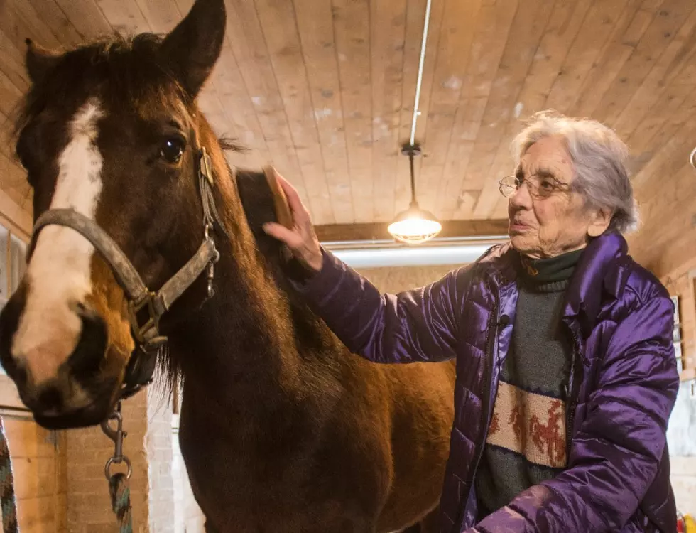 West Michigan Woman’s Dying Wish of Petting a Horse One Last Time Granted