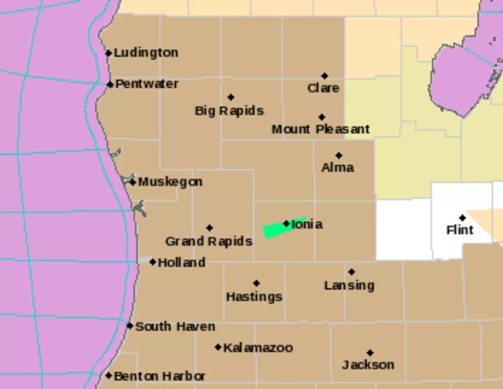 Wind Advisory For West Michigan Means Power Outages and Downed Trees Likely