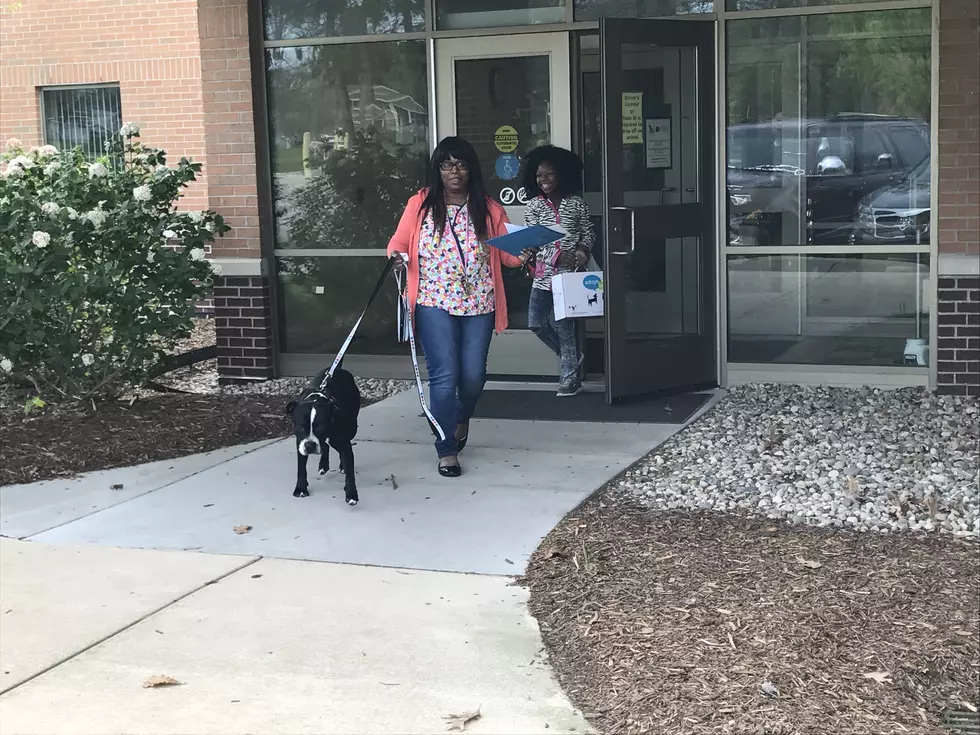 Empty The Shelter Event A Huge Success For Area Animal Shelters