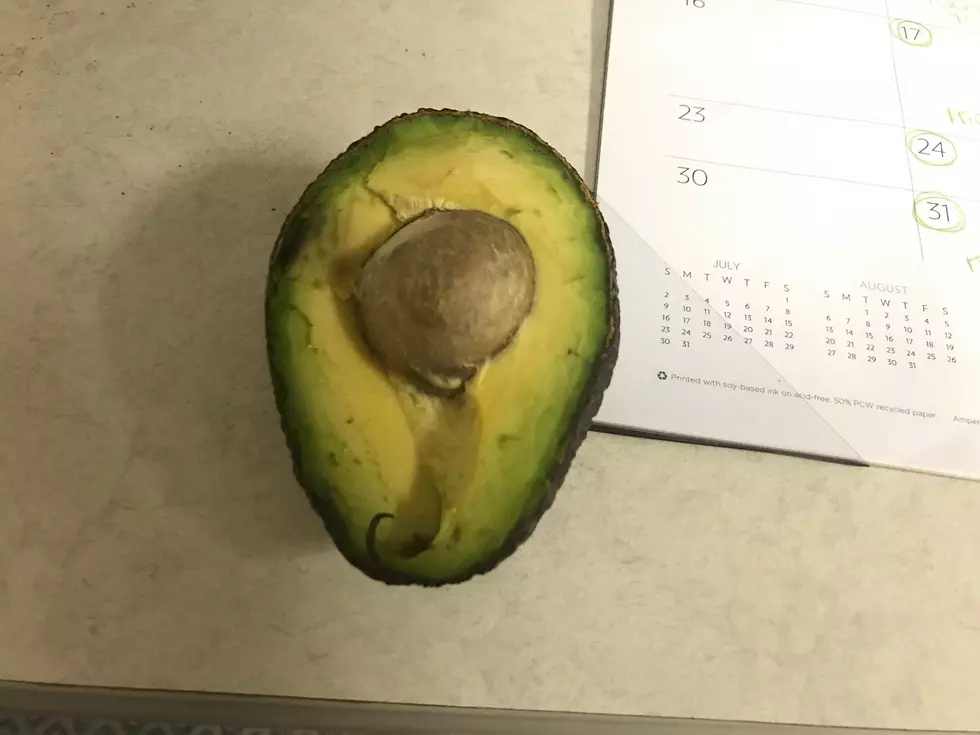 Why is There Half an Avocado on My Desk?! And Where Did it Come From?!