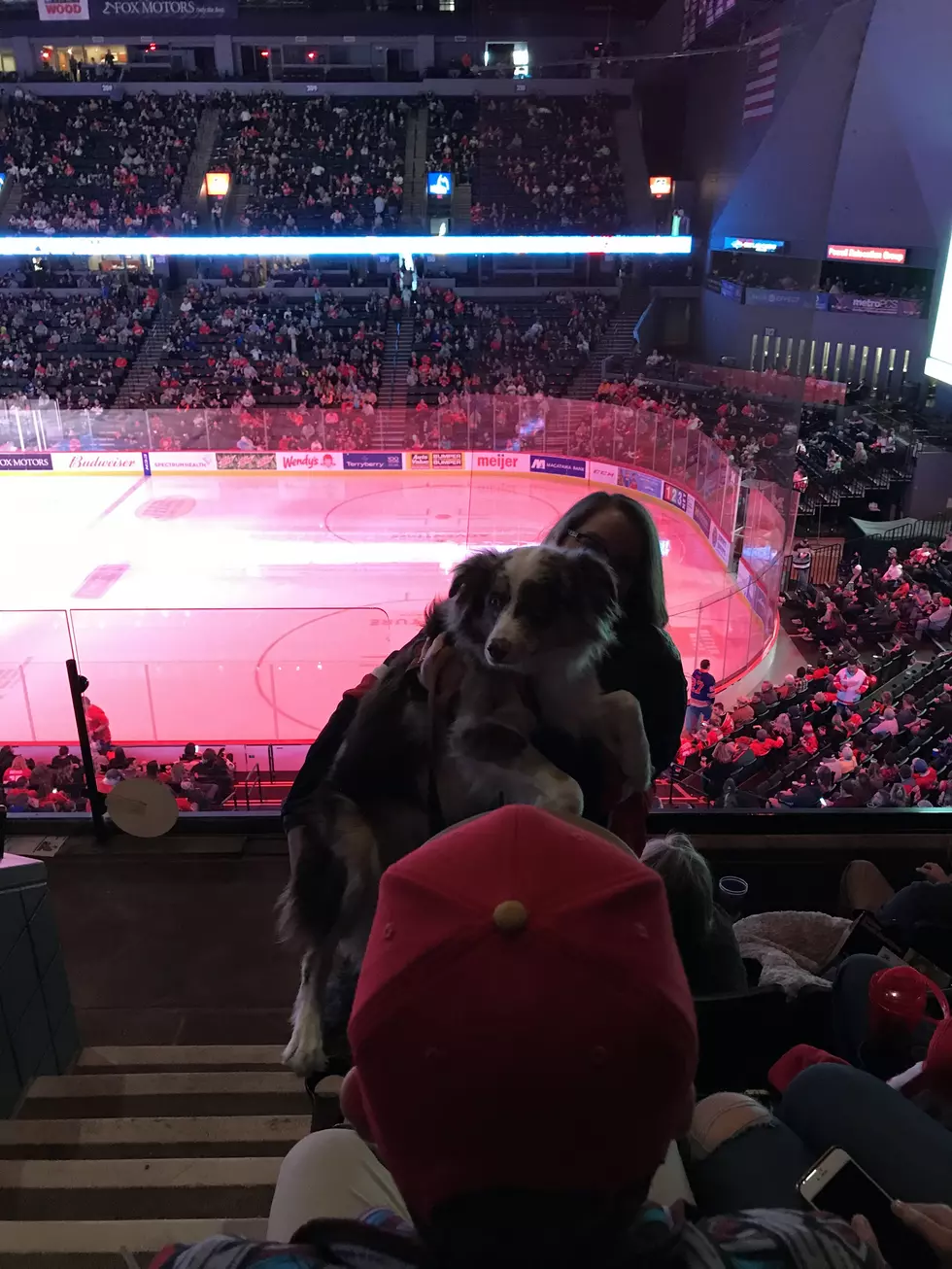Griffins Hosted ‘Bring Your Dog’ Game And It Was Adorable!