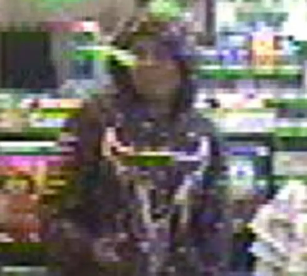 Can You Help Ottawa Co Sheriff Find This Holland Area Thief?