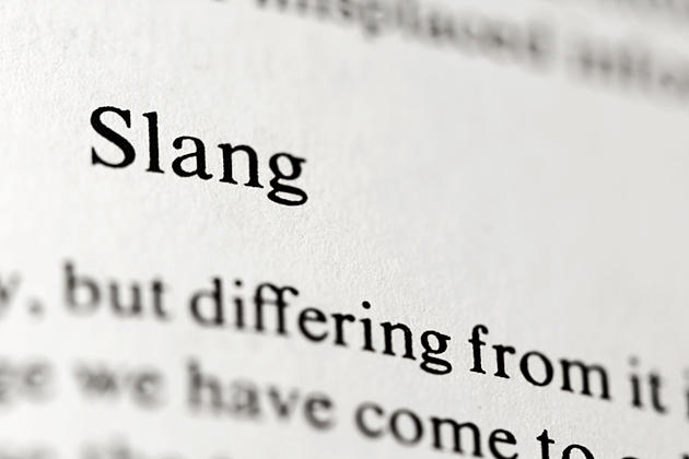 Michigan&#8217;s Most Used Slang Word Is&#8230;