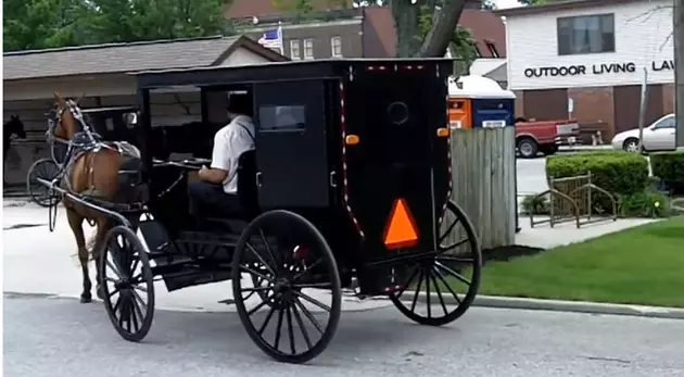 There&#8217;s An Amish Uber Now In St Joseph County