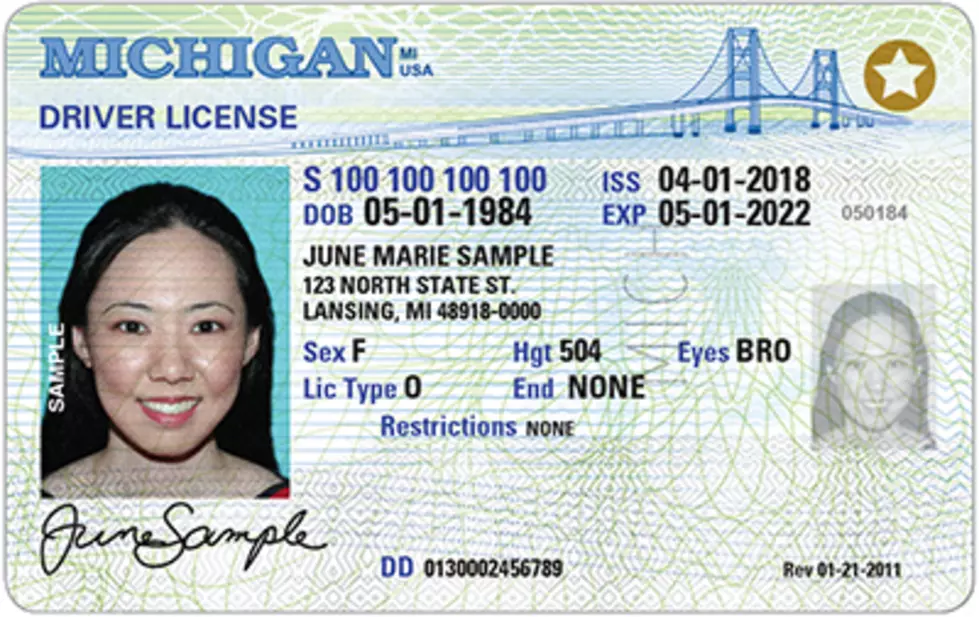 Your Michigan Drivers License Could Be Useless Soon At The Airport