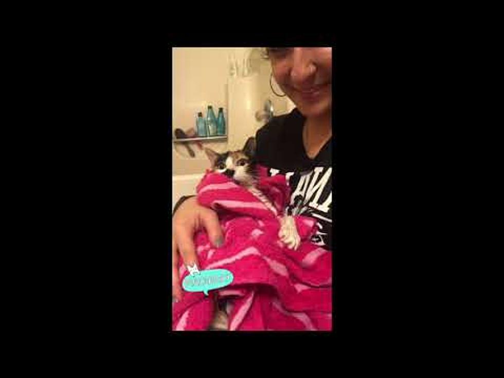 Christine Bathes Her Cat, Do You? [Video]