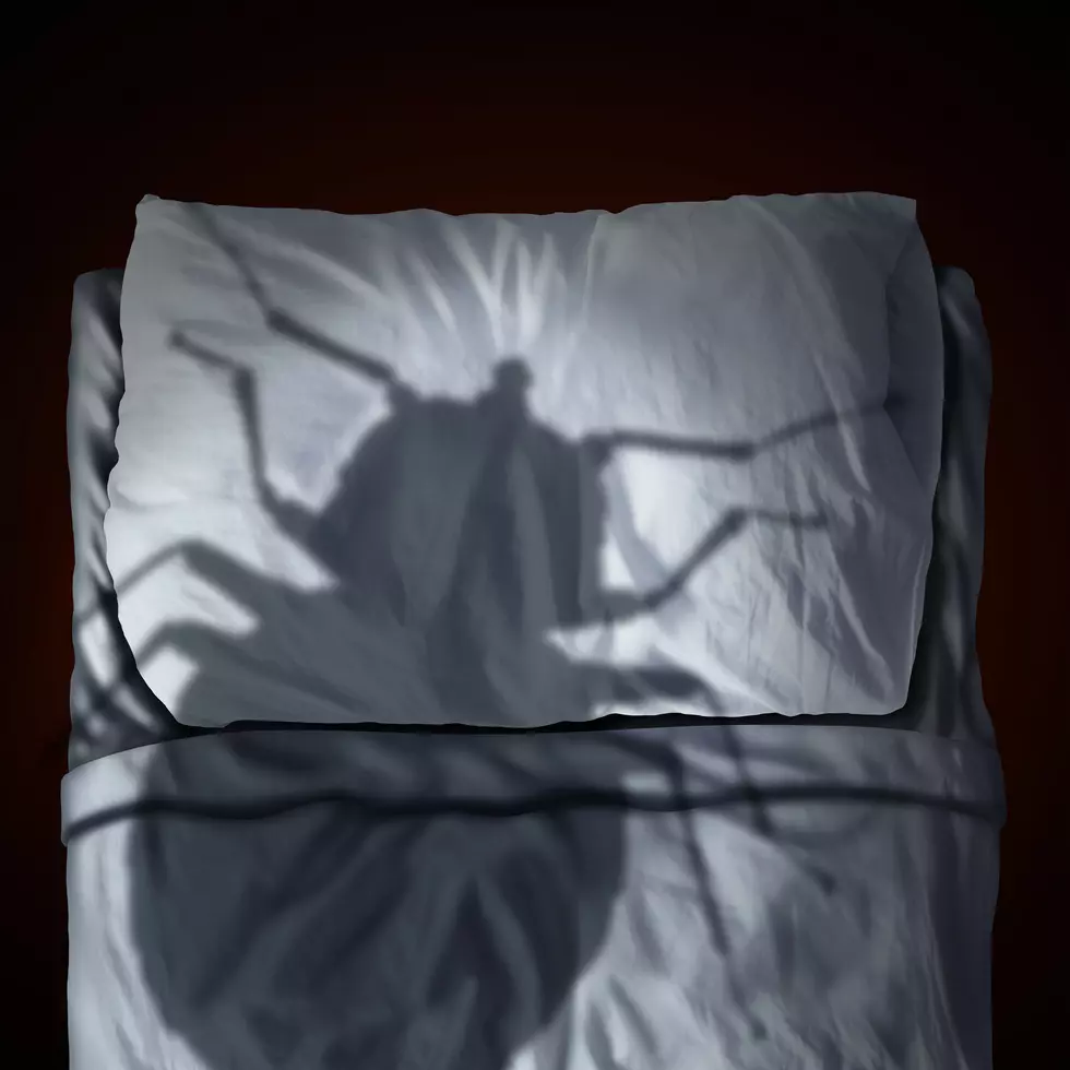 Four MI Cities Are Crawling With Bed Bugs, Including G.R.