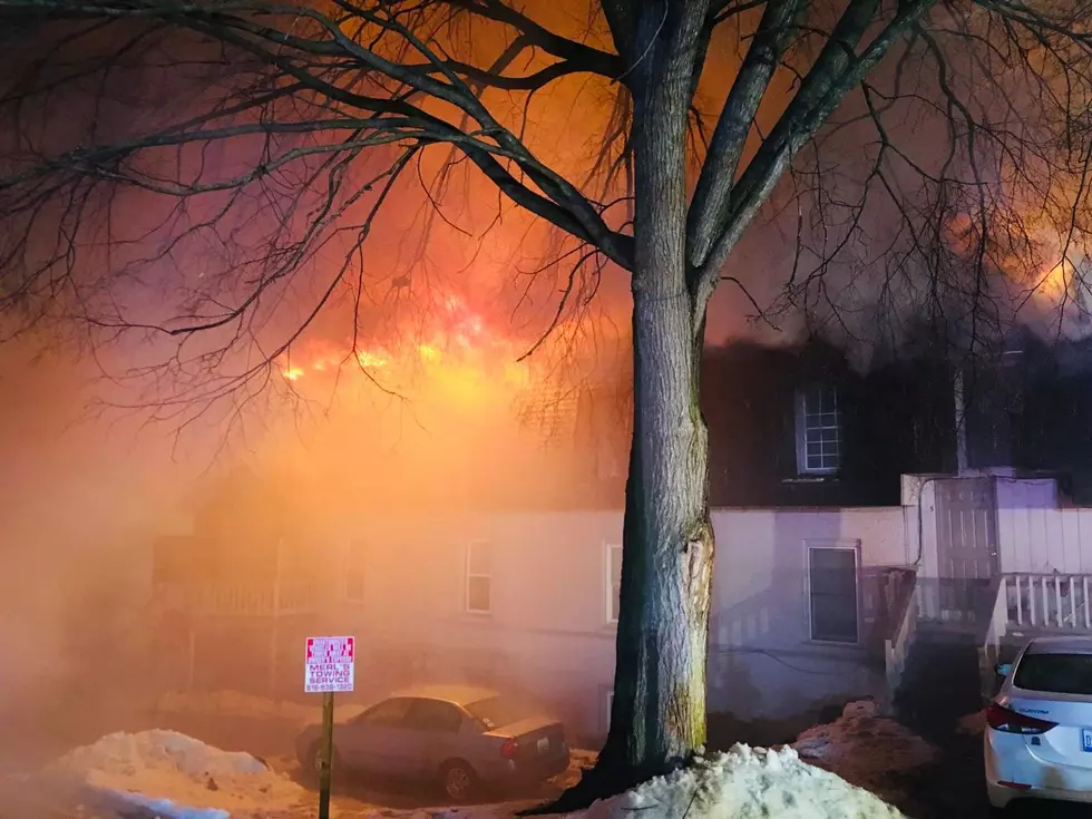 Missing Cats Found After Grand Rapids’ Apartment Fire Friday Night