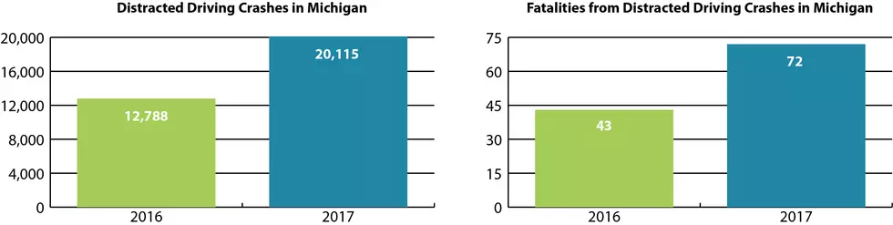 Michigan State Police