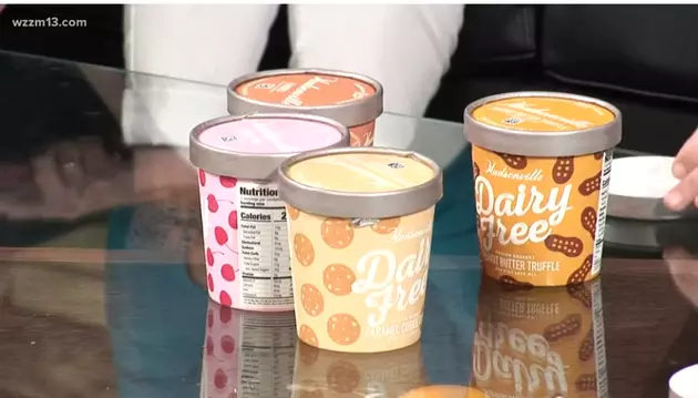 Hudsonville Ice Cream Now Has Dairy-Free, Vegan-Friendly Choices
