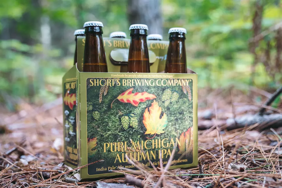 Pure Michigan Beer Now Available