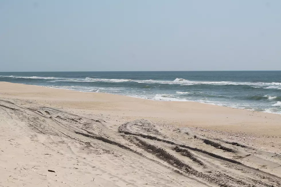 Holland State Park Is Closing Next Week To Ready For Summer