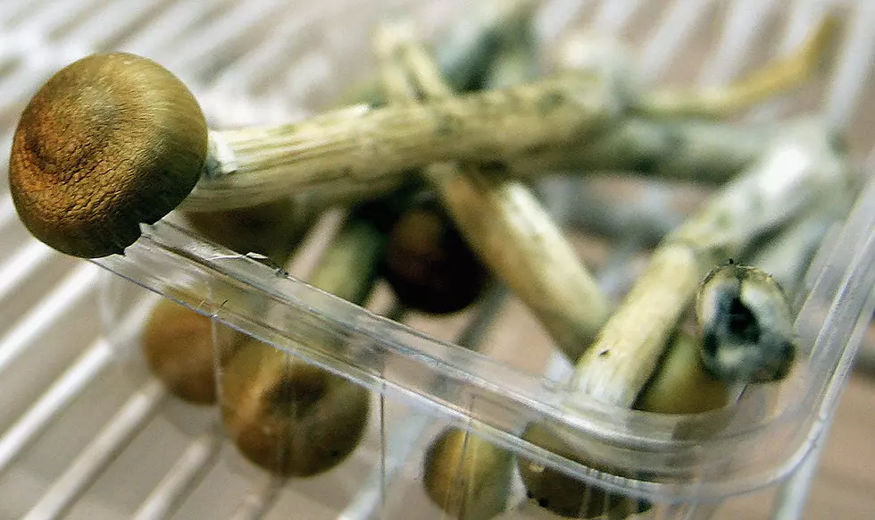 Ann Arbor Is Considering Decriminalizing Psychoactive Mushrooms