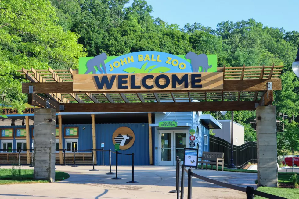 Lions, and Tigers, and Bears — Get a Job at the John Ball Zoo