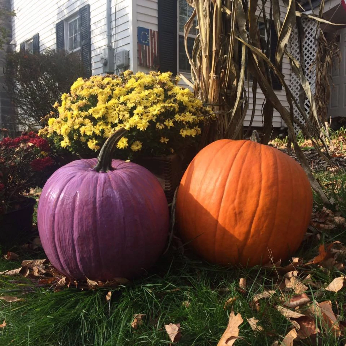 This is What a Purple Pumpkin Means for Halloween this Year