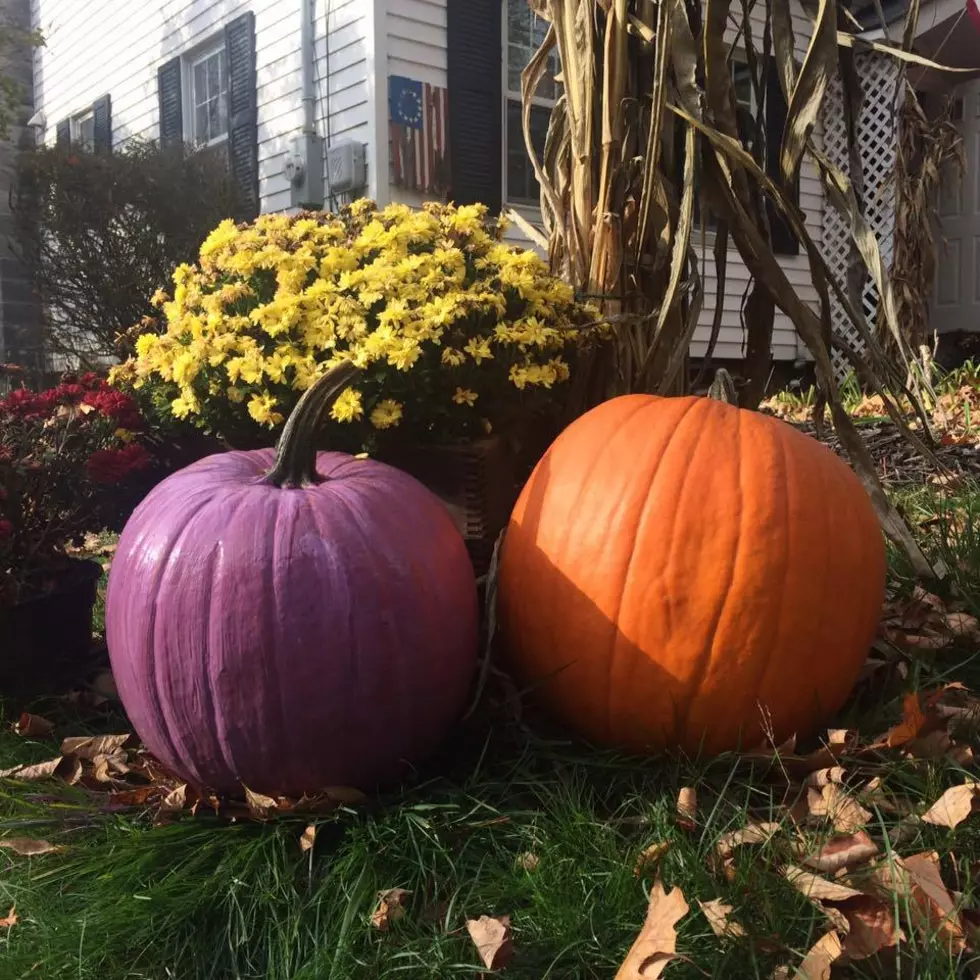 Are You Handing Out Candy for Halloween? Put a Purple Pumpkin in Front of Your House