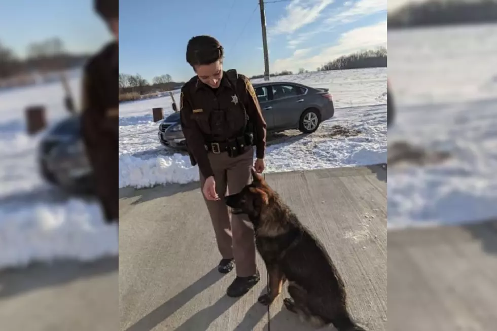 SW Michigan Deputy Risks Her Life To Save A Dog From Drowning