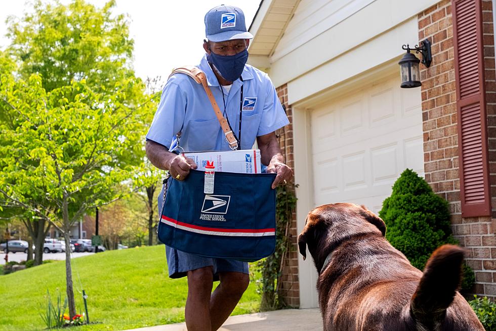 Michigan is One of the Top States for Dog Attacks Against Postal Workers