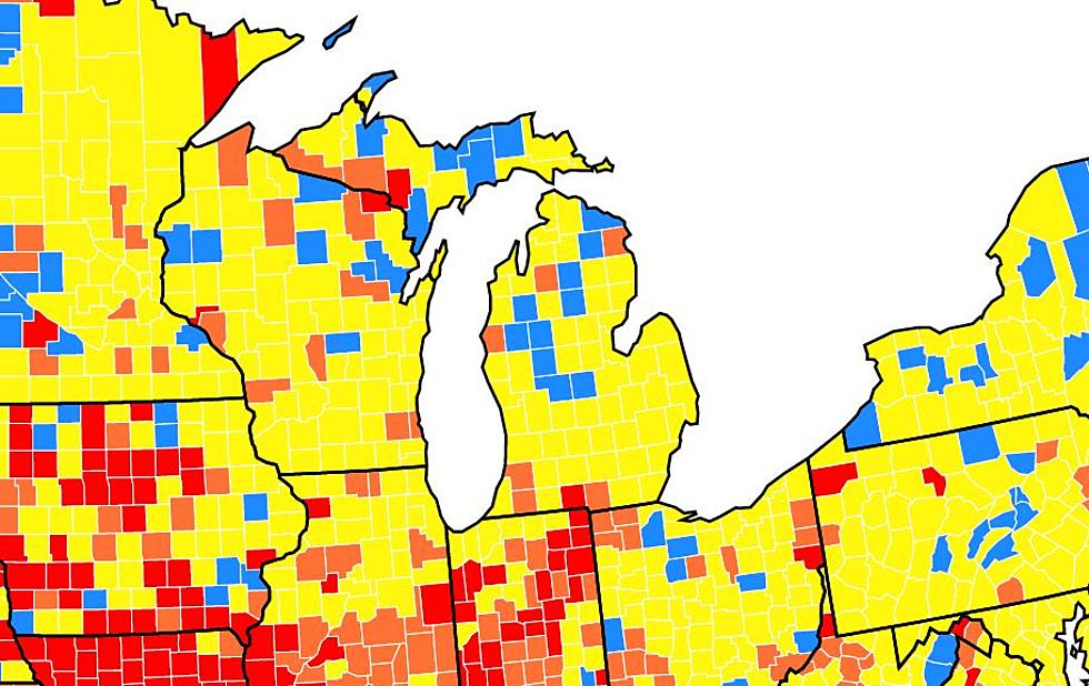 Which Michigan Counties Are Subject To The New CDC Mask Guidelines?