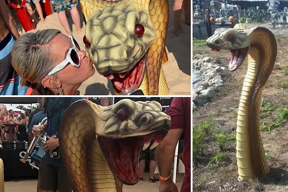 Snake Sculpture Head Stolen From Burning Foot Beer Festival In Muskegon