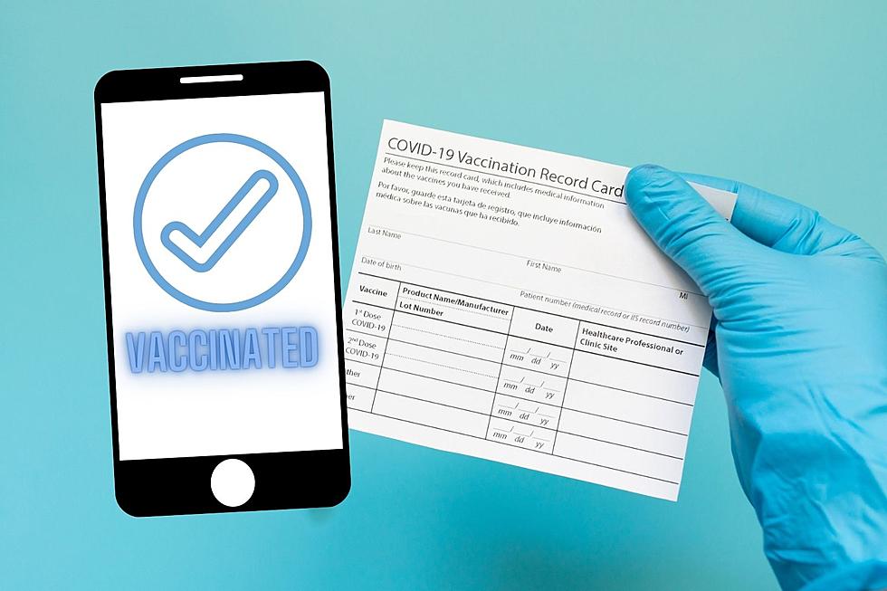 Apple & Google Stepping In Where Michigan Lawmakers Failed With Vaccine Passports