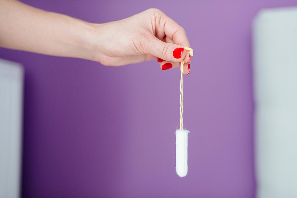 Michigan House Votes To End &#8220;Tampon Tax&#8221;