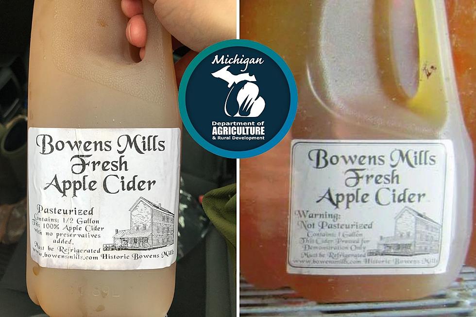 Michigan Issues Warning Over Illegal Cider Production In West Michigan