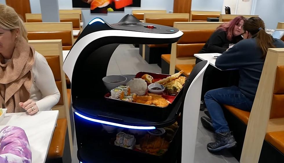 Creepy or Cool? Michigan Restaurant Turning To Robots To Take Your Order