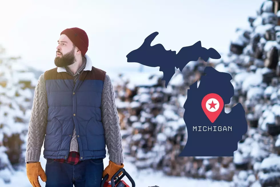 Canva/Michigan