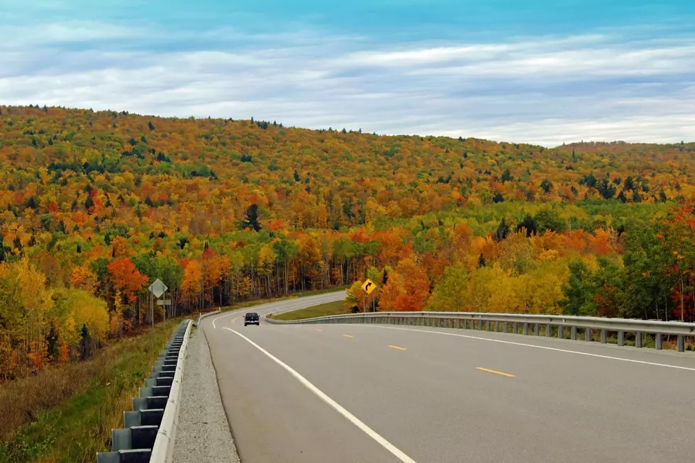 Canva/Michigan