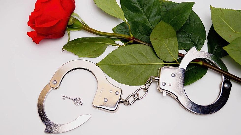 Michigan Police Want To Do Something Special For Your Ex This Valentine’s Day