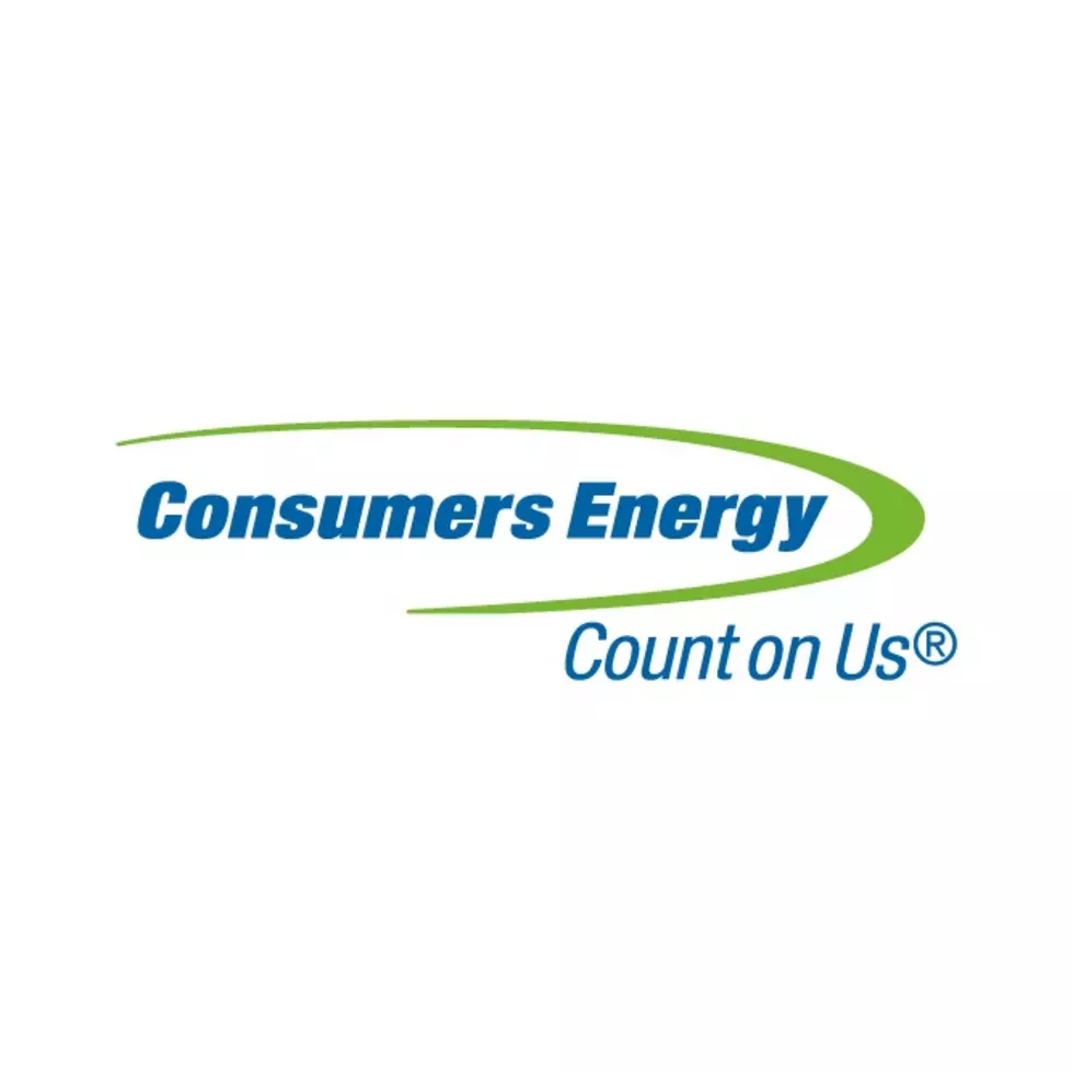 Credit: Consumers Energy via Facebook