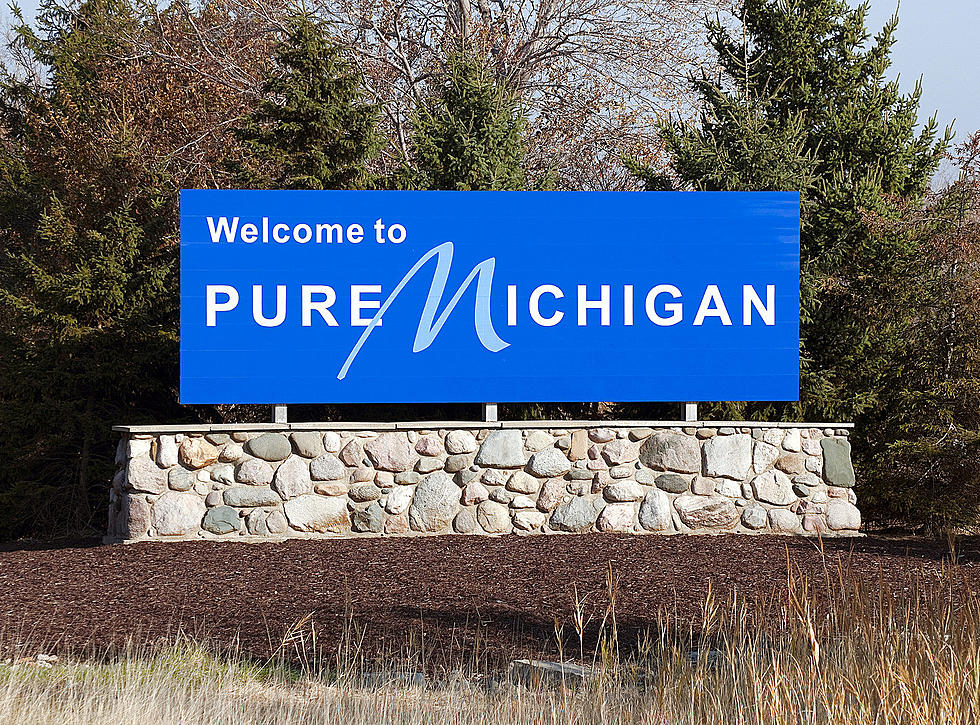 Michigander Test: How Many Of These Michigan Made Products Have You Had?