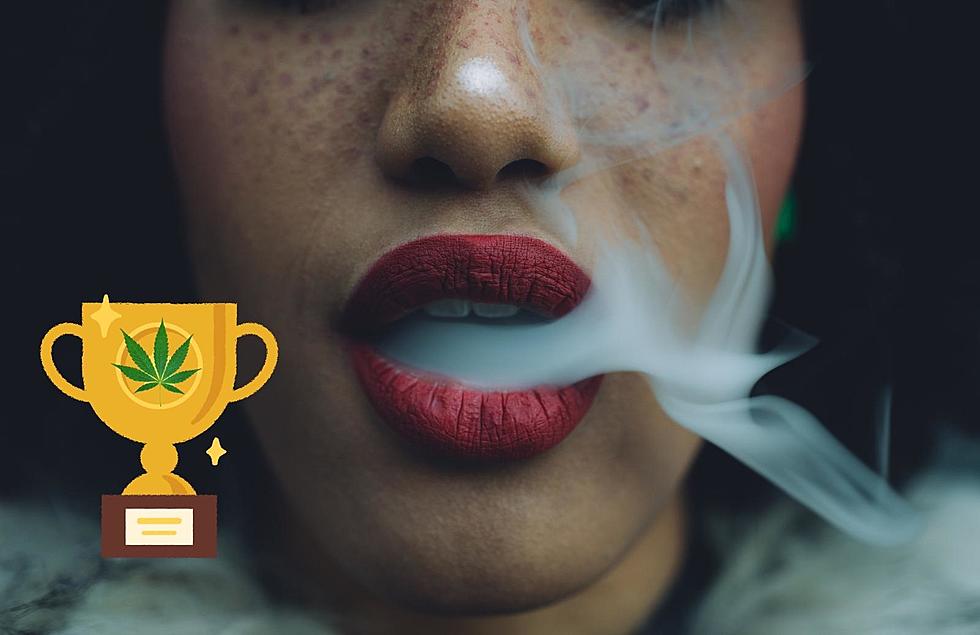 High Times Wants You To Help Judge The Michigan Cannabis Cup