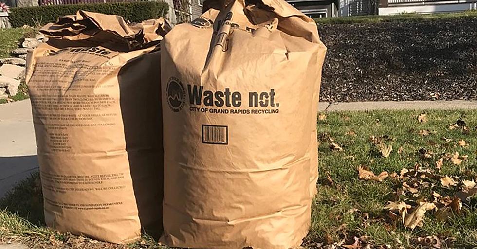 All You Need To Know About Grand Rapids Yard Waste Collection