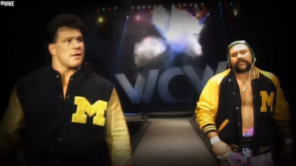 Credit: WWE / Wrestling Bios Via Youtube