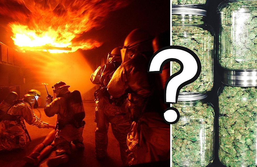 Fact Check: Are There More Marijuana Employees Than Firefighters in Michigan?