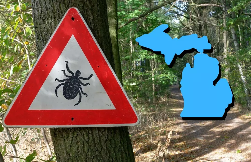 The Disappointing Reason Why You&#8217;ll See More Ticks Around Michigan This Summer