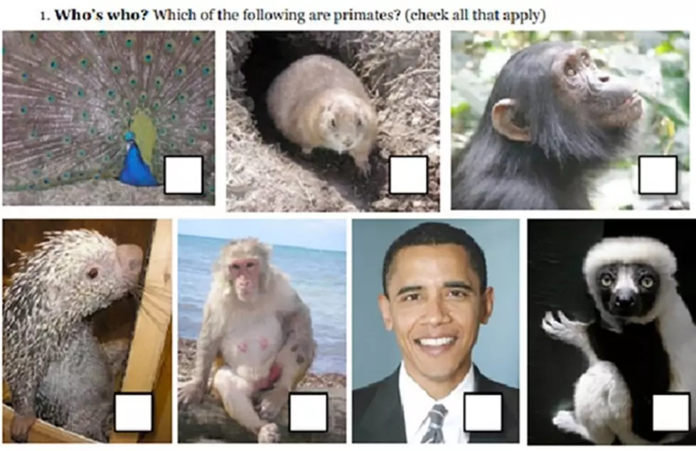 What Were You Thinking? Michigan Teacher Compared President Obama To Monkeys