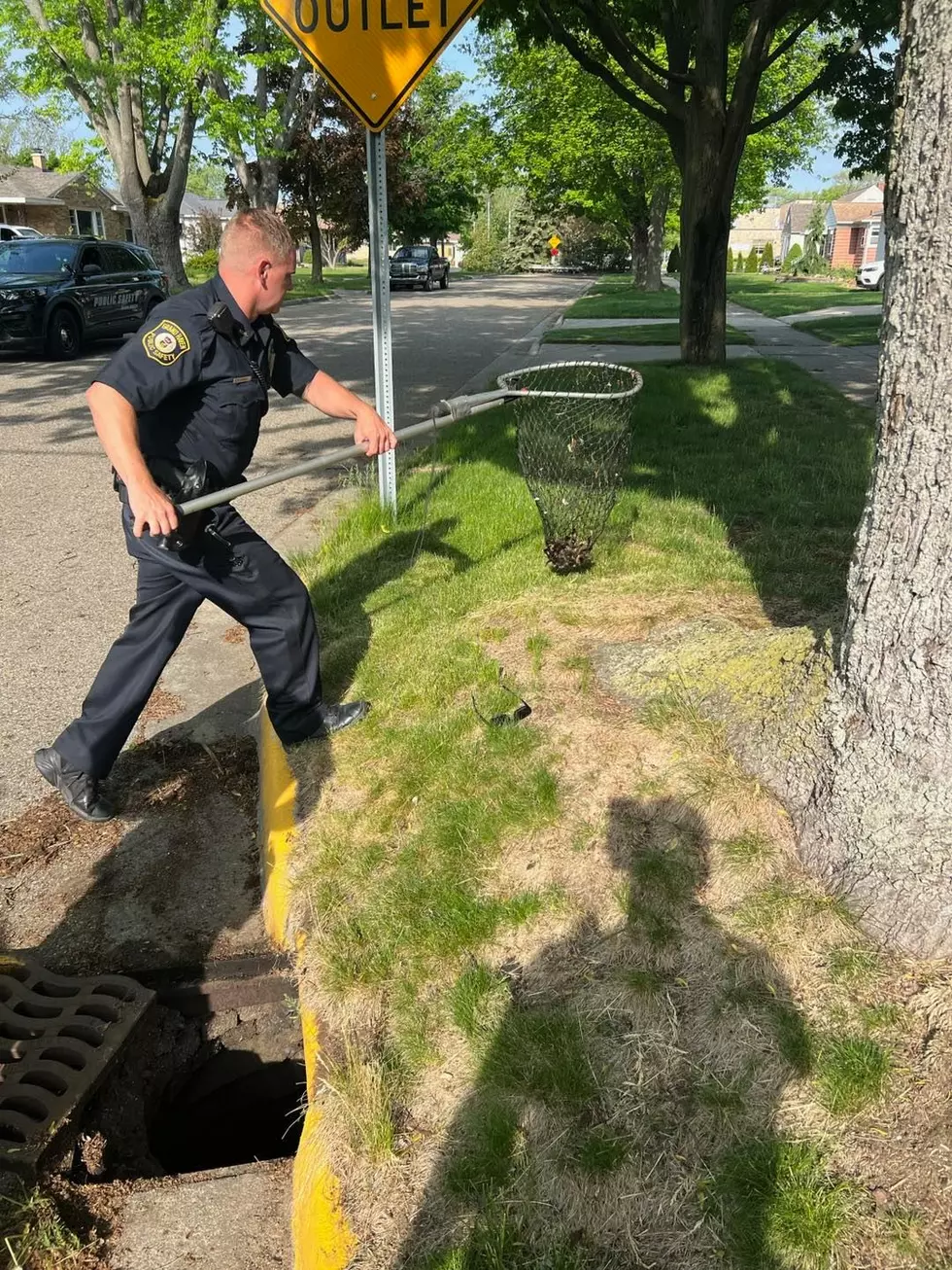 Credit: Grand Haven Department of Public Safety via Facebook