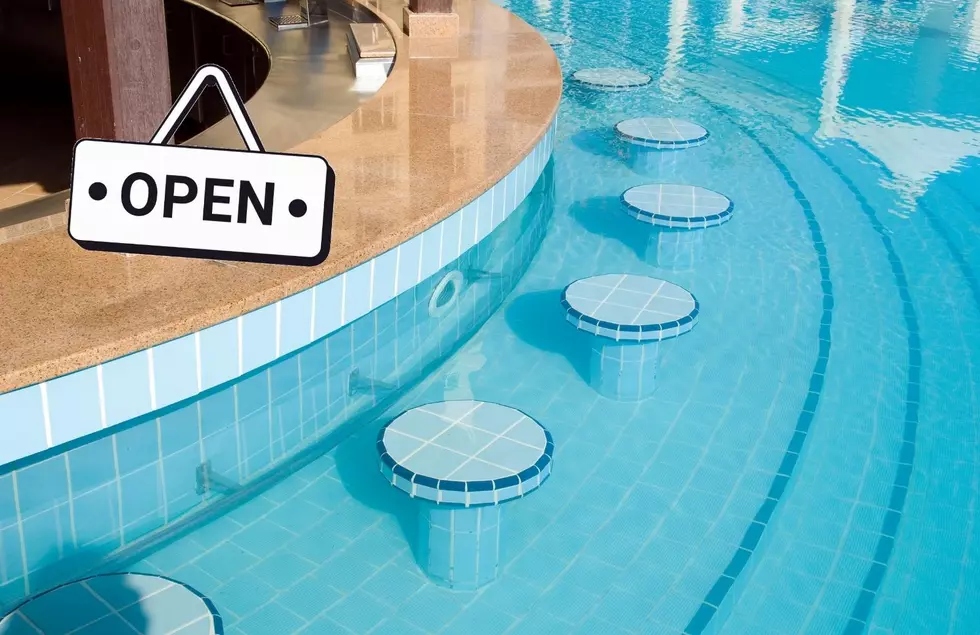 Make A Splash: Could Swim Up Bars Be Coming To Michigan Soon?