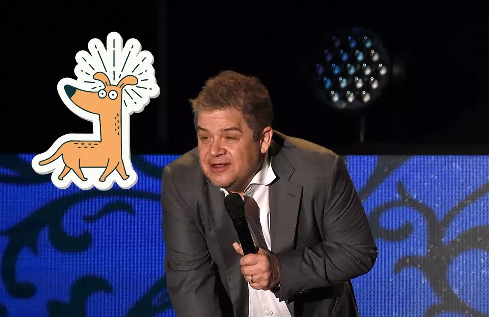 Patton Oswalt Learned The Weird Reality of Adopting Test Animals at 20 Monroe