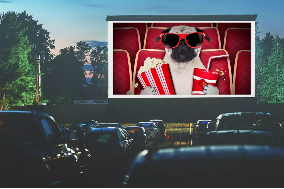 Experience Nostalgia at One of Michigan’s Drive-In Theaters