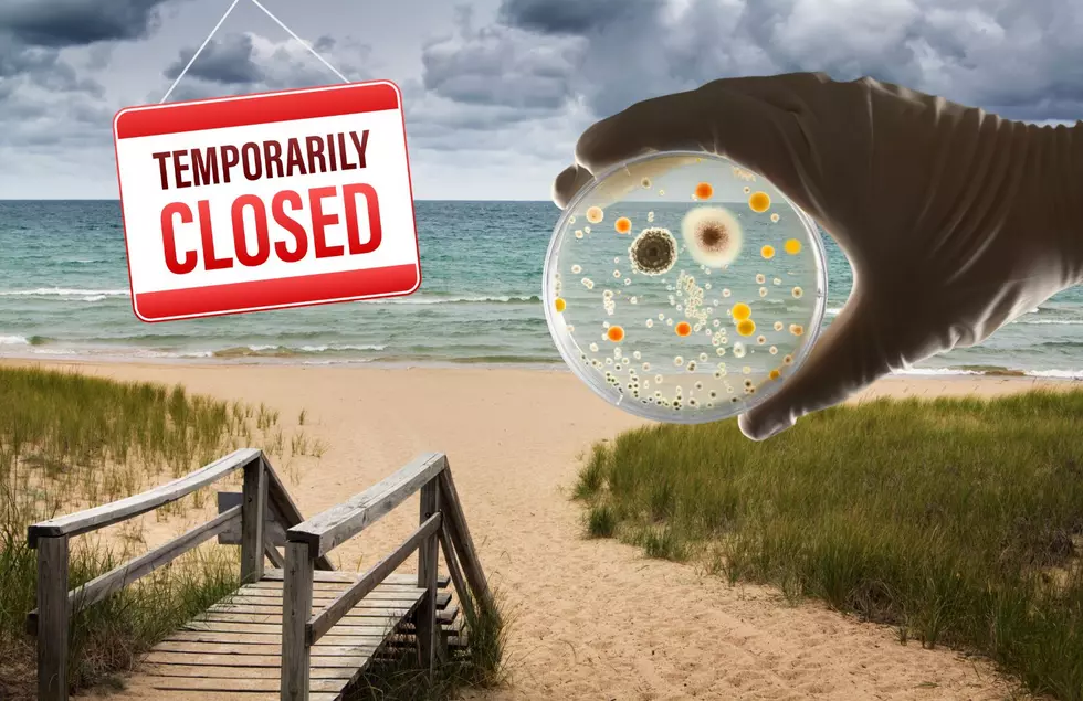 Don’t Swim In These Michigan Beaches That Have High Levels Of Bacteria