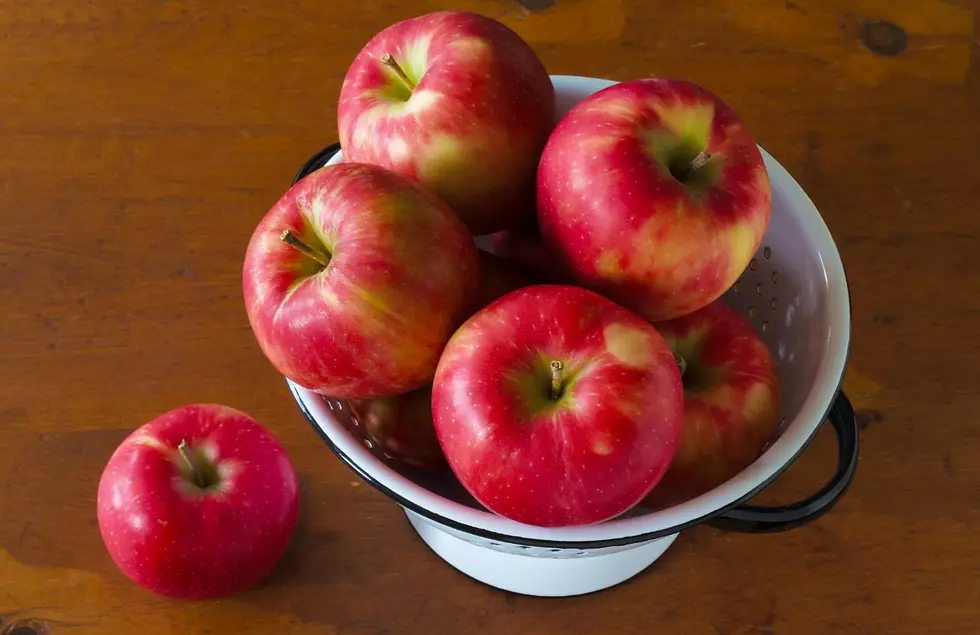 This Honeycrisp Season In Michigan Is Shaping Up To Be A Sweet One