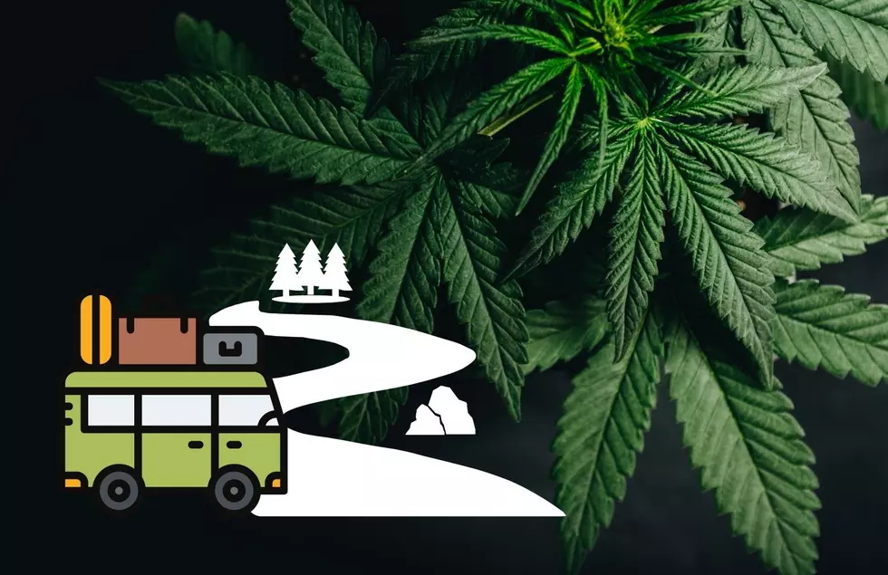 How To Travel To Non-Legal States With Michigan Marijuana