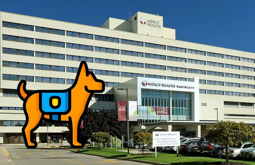 This Grand Rapids Hospital Has Gained 4 New Employees On Four Legs